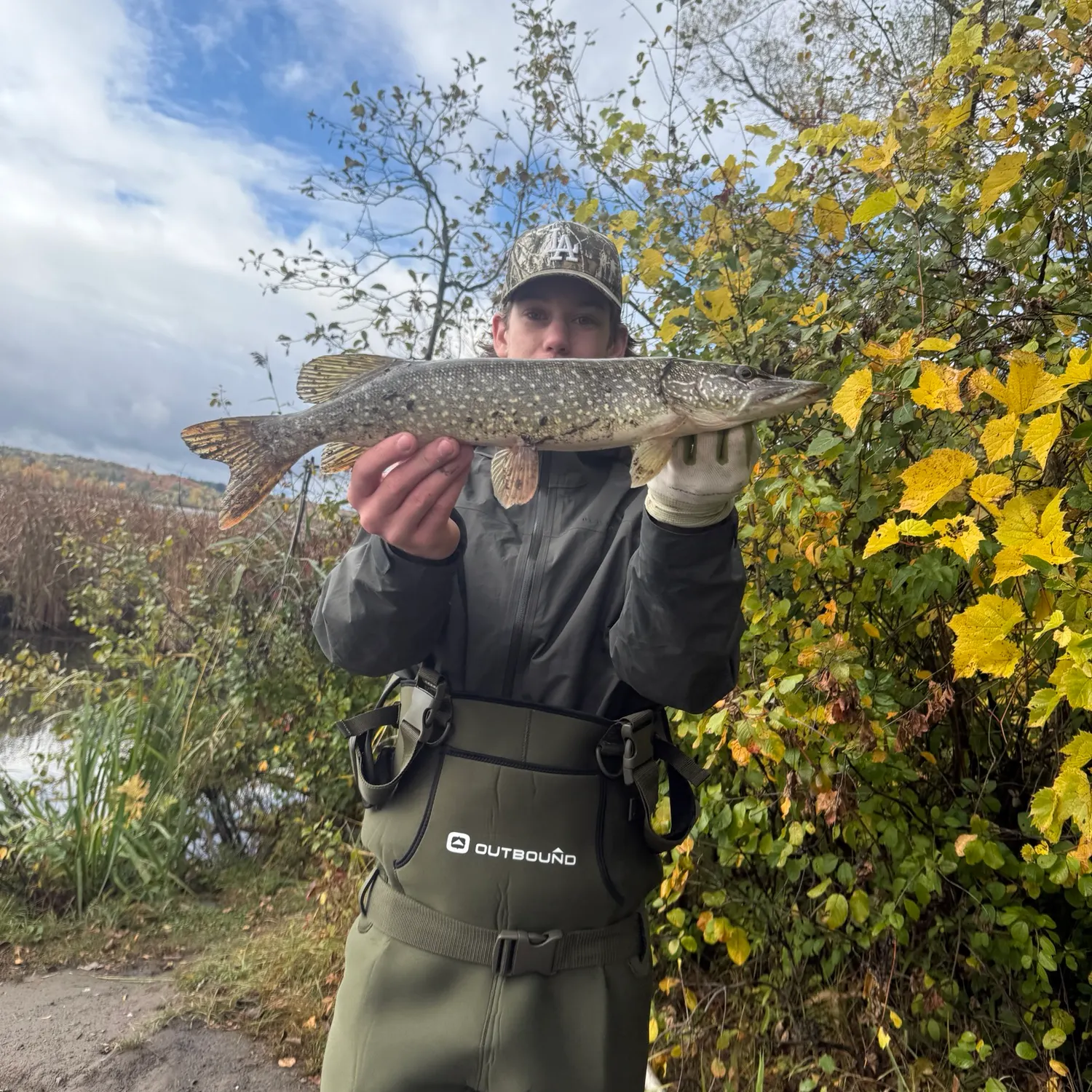 Northern pike caught on Fishbrain