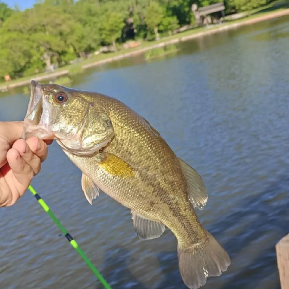 angler catch