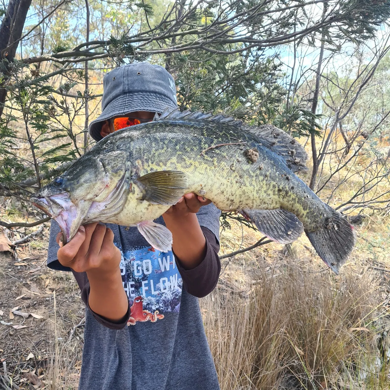 The most recent Murray cod catches on Fishbrain