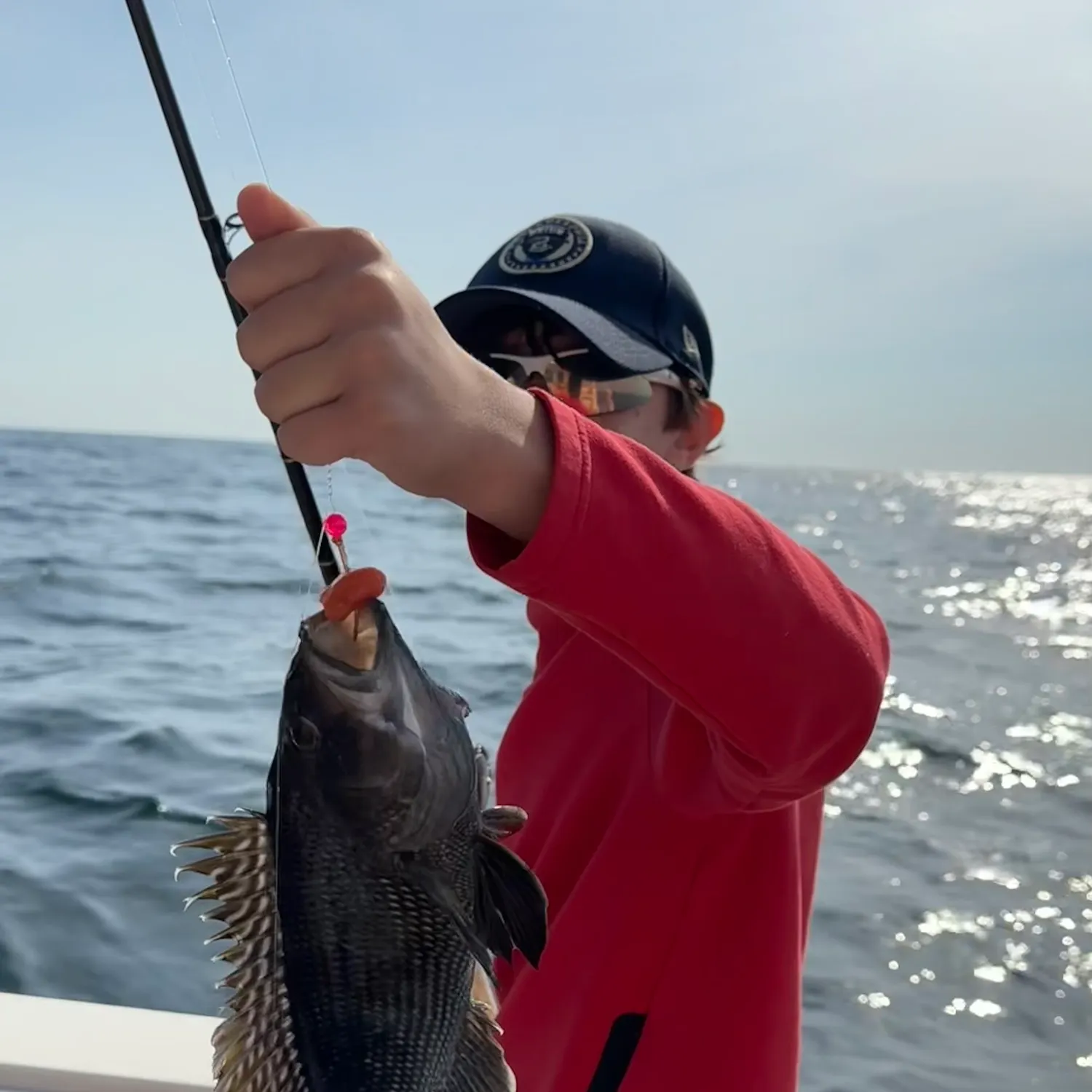 The most recent Black sea bass catches on Fishbrain
