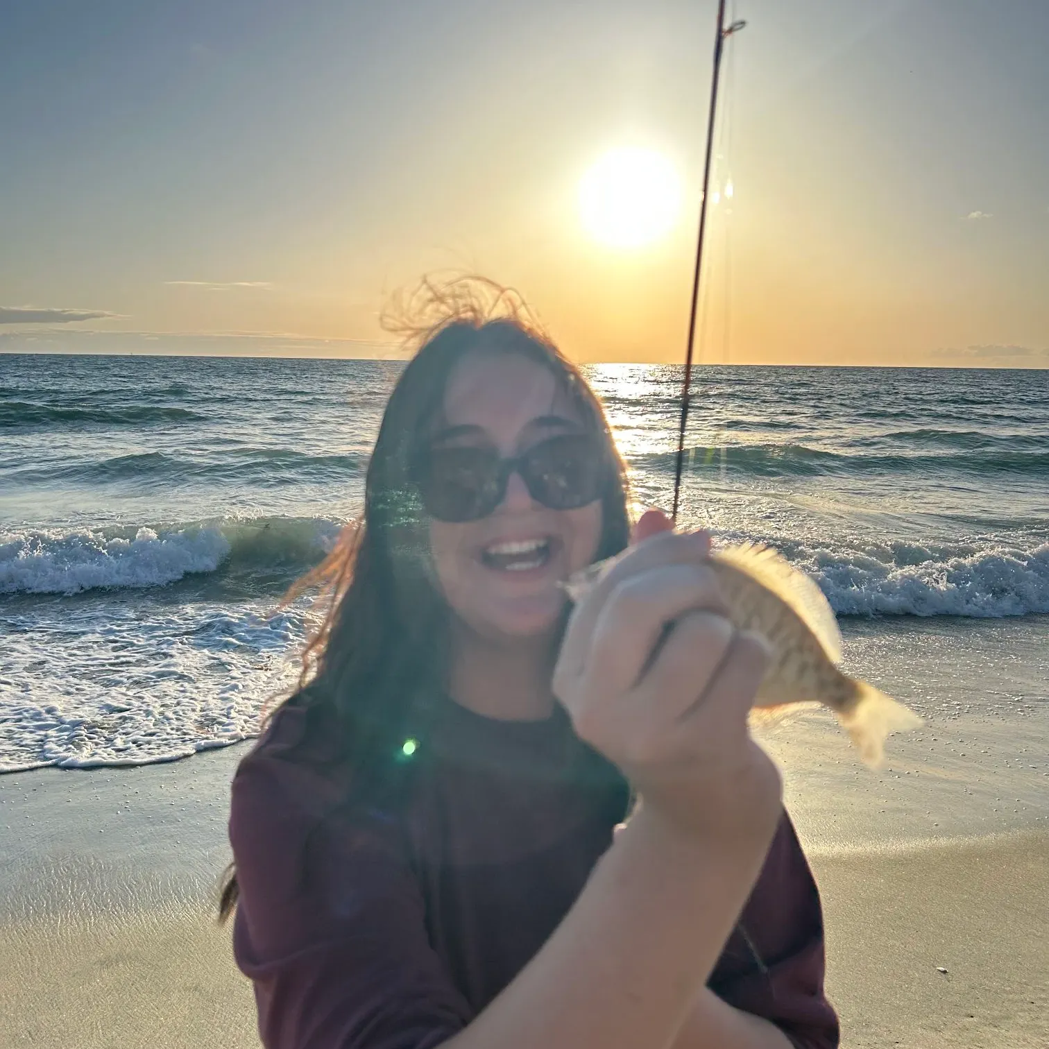 The most recent Barred surfperch catches on Fishbrain