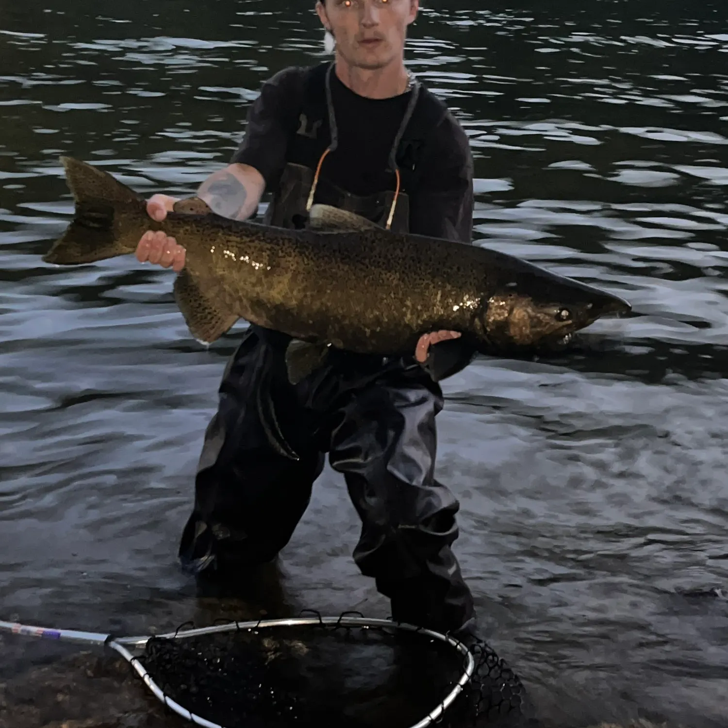 The most recent Chinook salmon catches on Fishbrain
