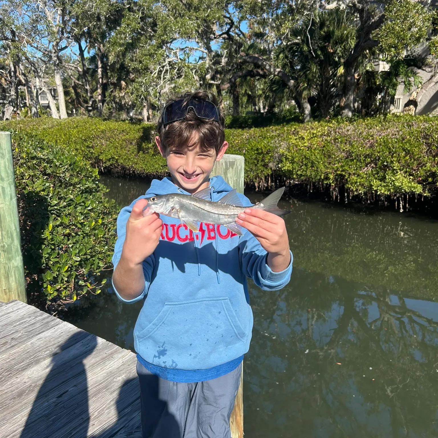 The most recent Tarpon Snook catches on Fishbrain