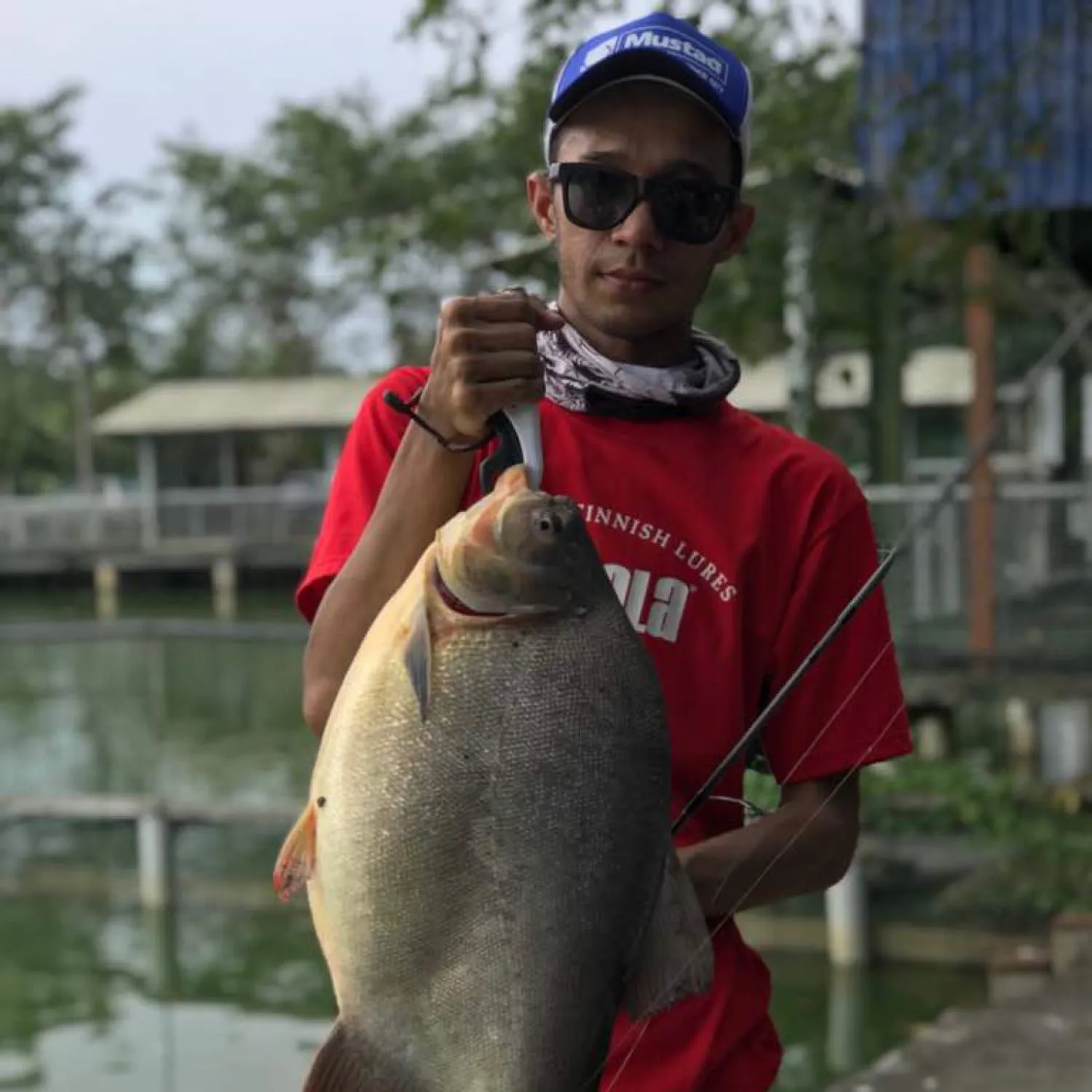 Small-scaled pacu caught on Fishbrain