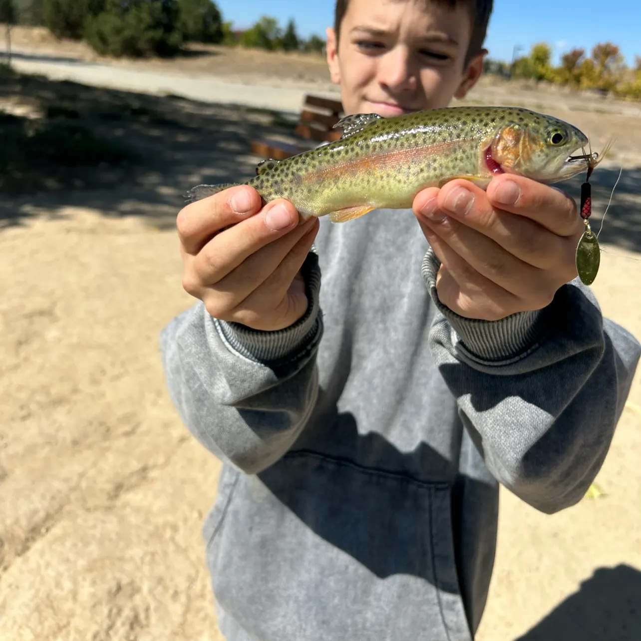 Rainbow trout caught on Fishbrain