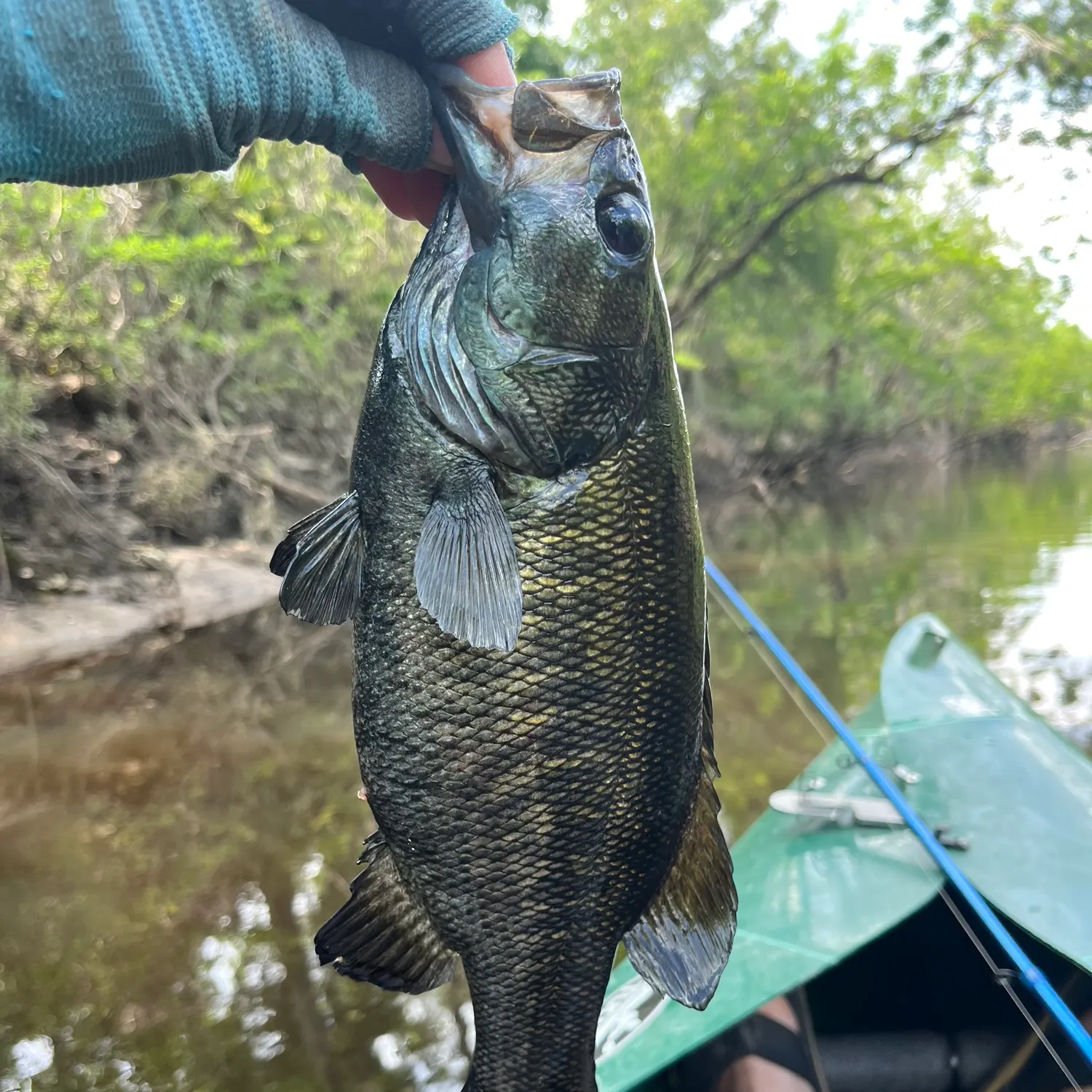 angler catch