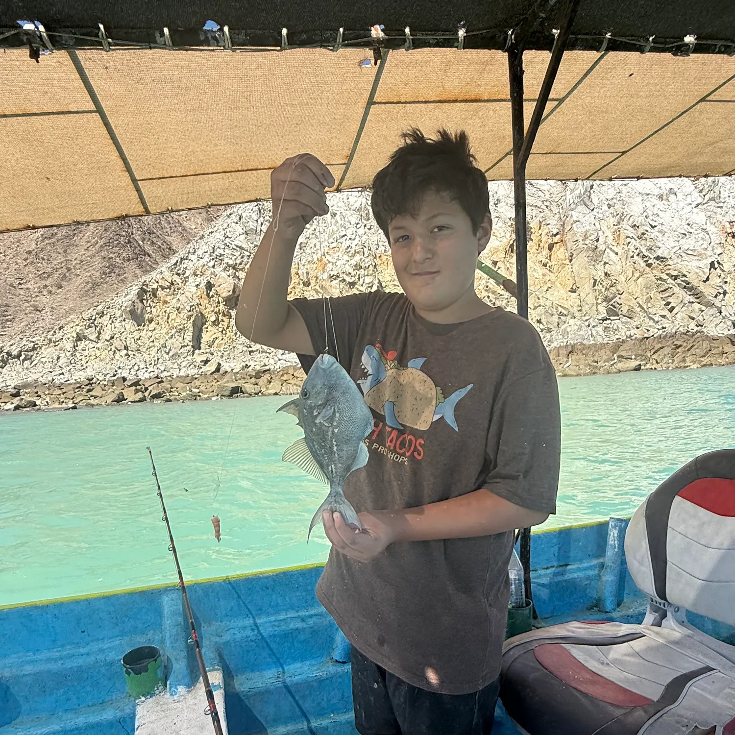 Finescale triggerfish caught on Fishbrain
