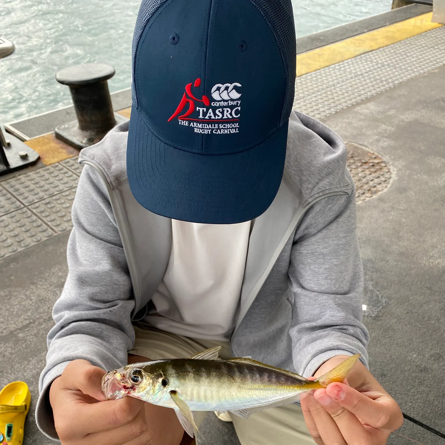 The most recent Yellowtail scad catches on Fishbrain