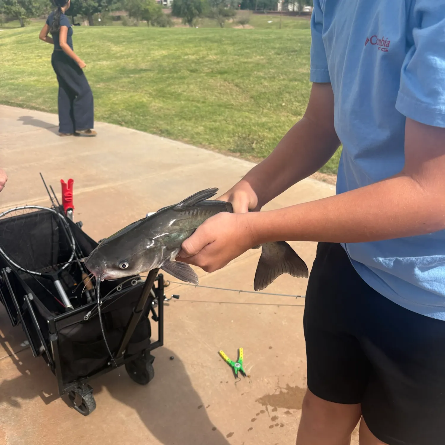 Channel catfish caught on Fishbrain