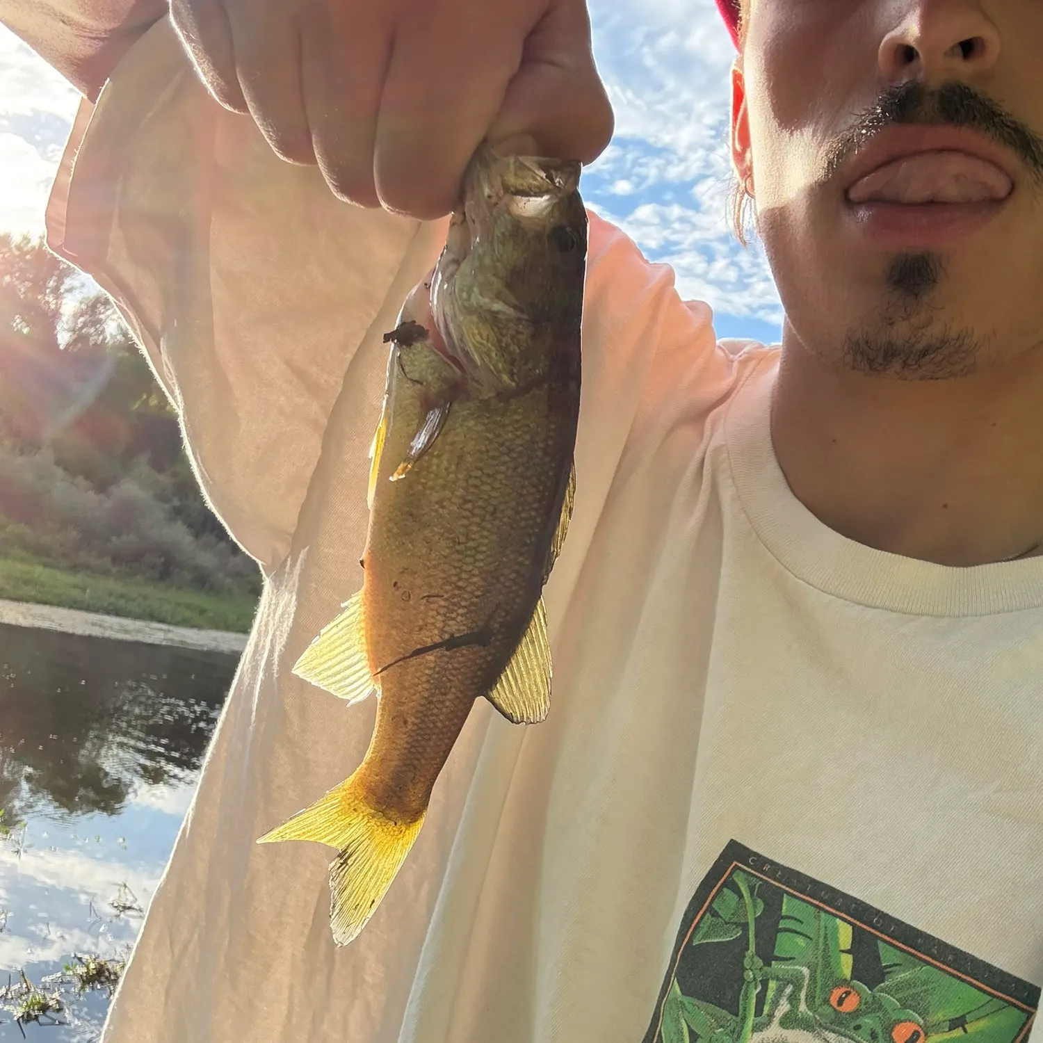Smallmouth bass caught on Fishbrain