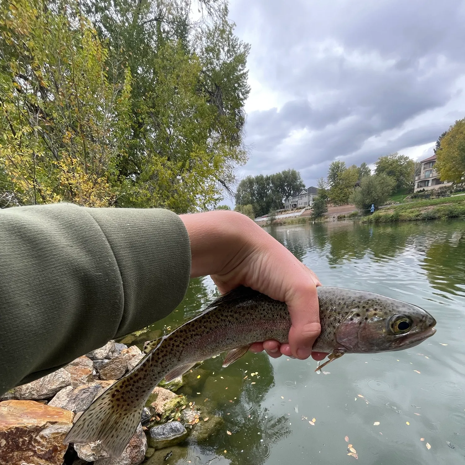 Rainbow trout caught on Fishbrain