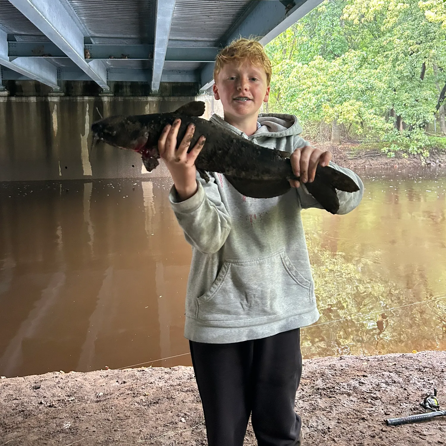 Channel catfish caught on Fishbrain