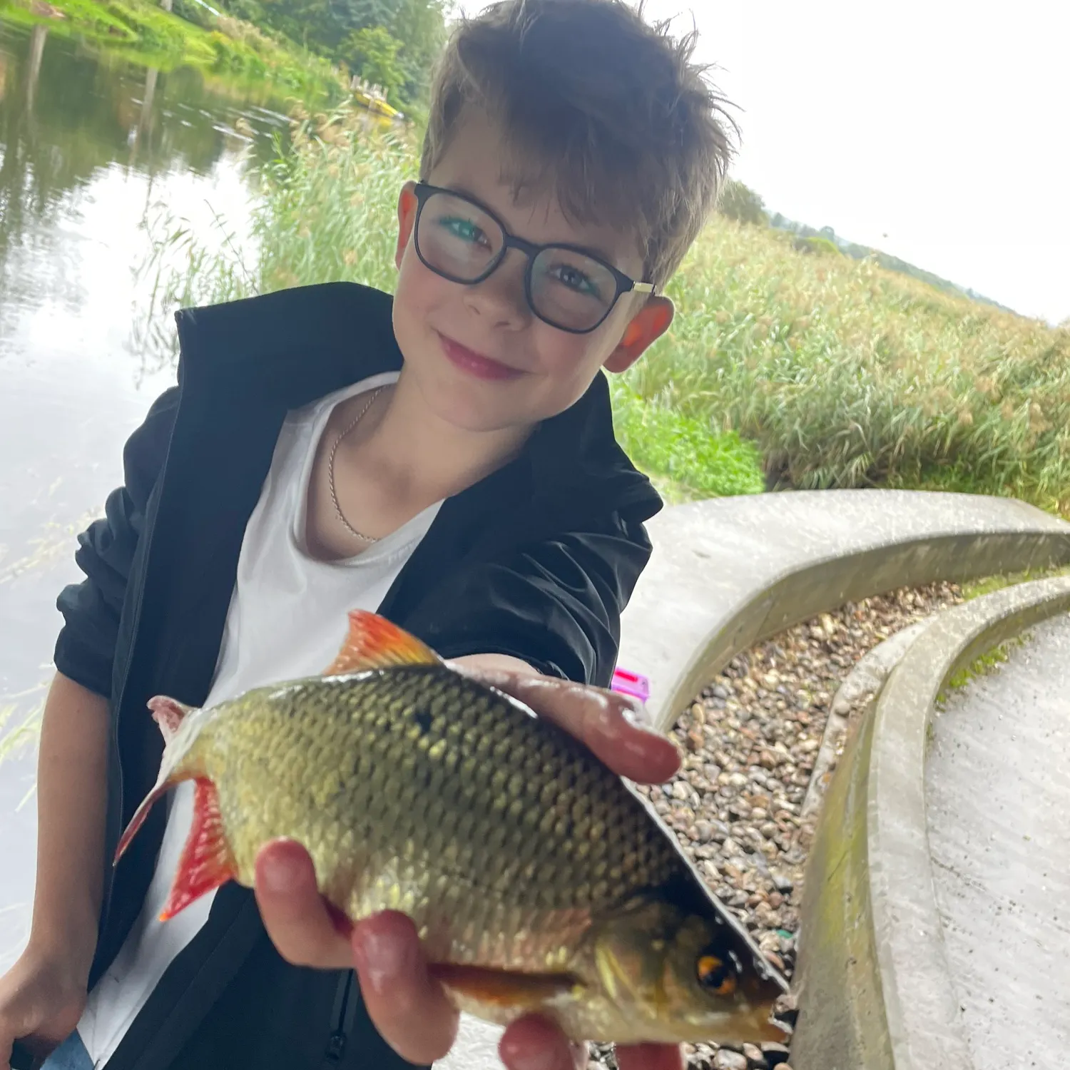 Common rudd caught on Fishbrain