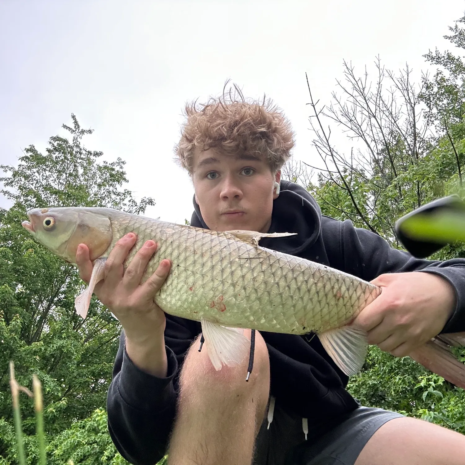 The most recent Grass carp catches on Fishbrain
