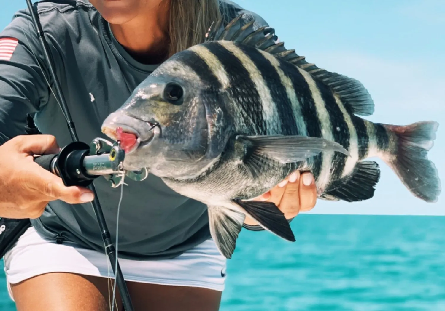 Sheepshead