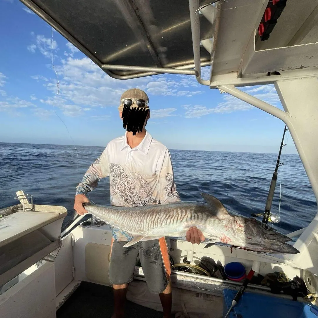 The most recent Narrow-barred Spanish mackerel catches on Fishbrain