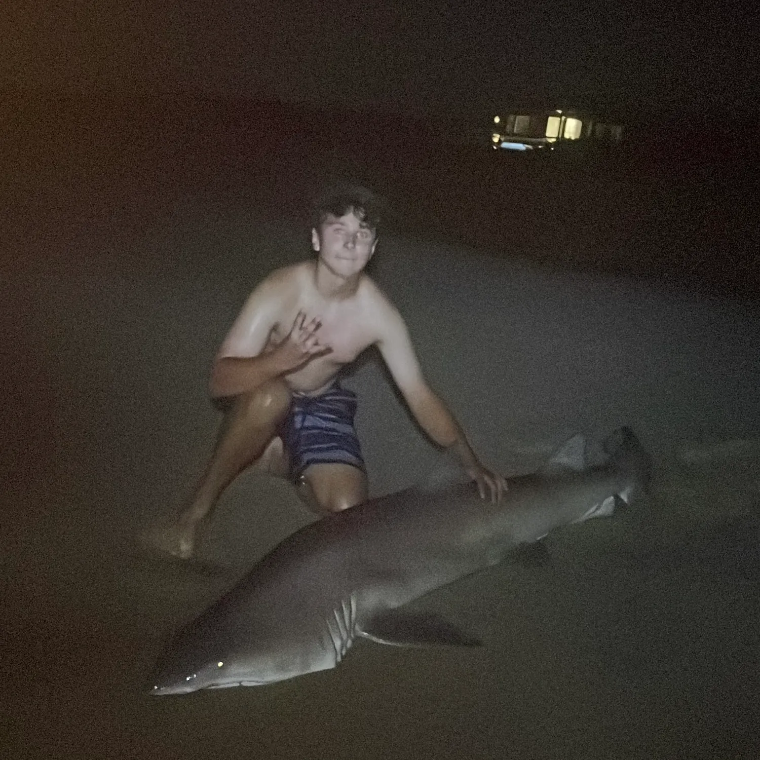 Sand tiger shark caught on Fishbrain
