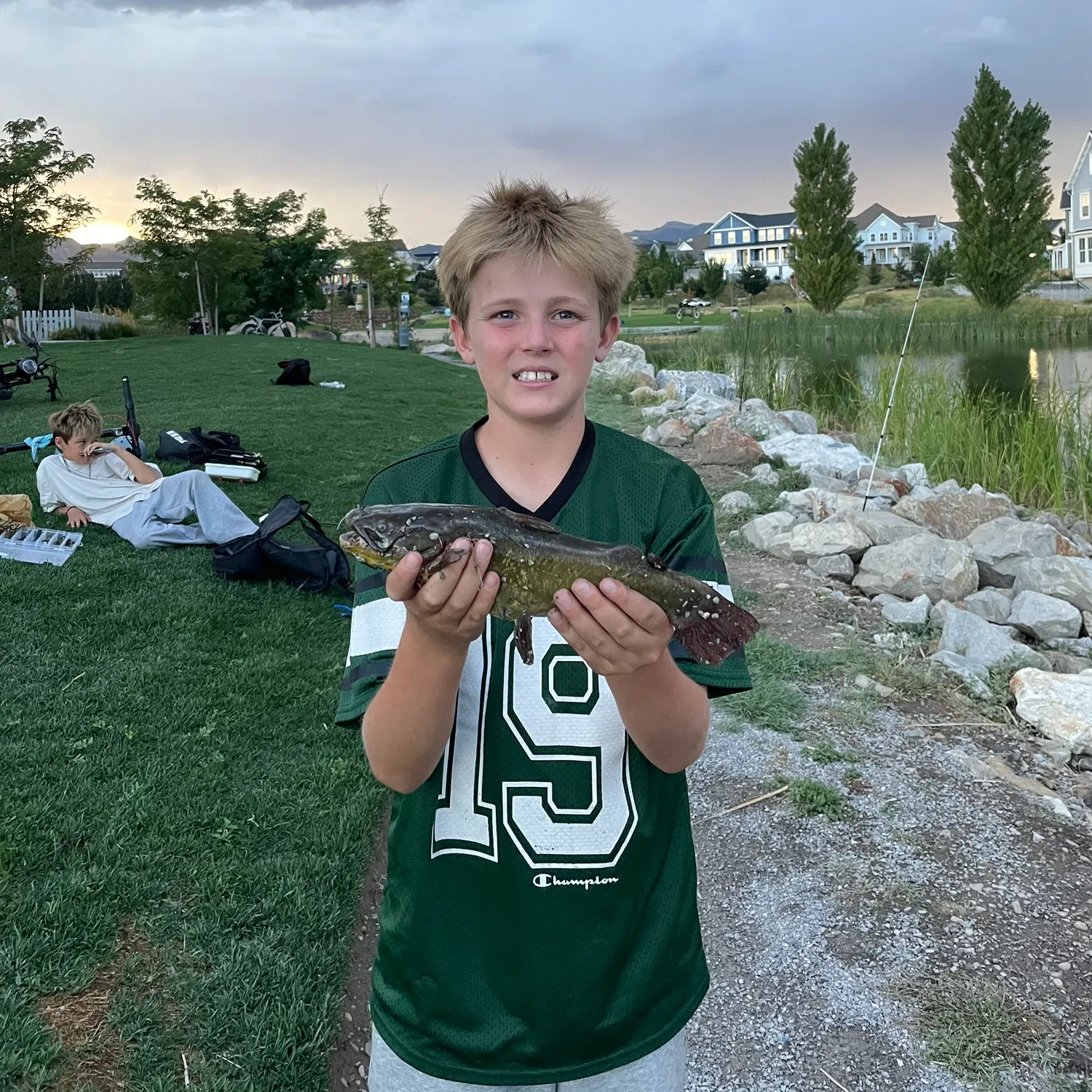 Yellow bullhead caught on Fishbrain