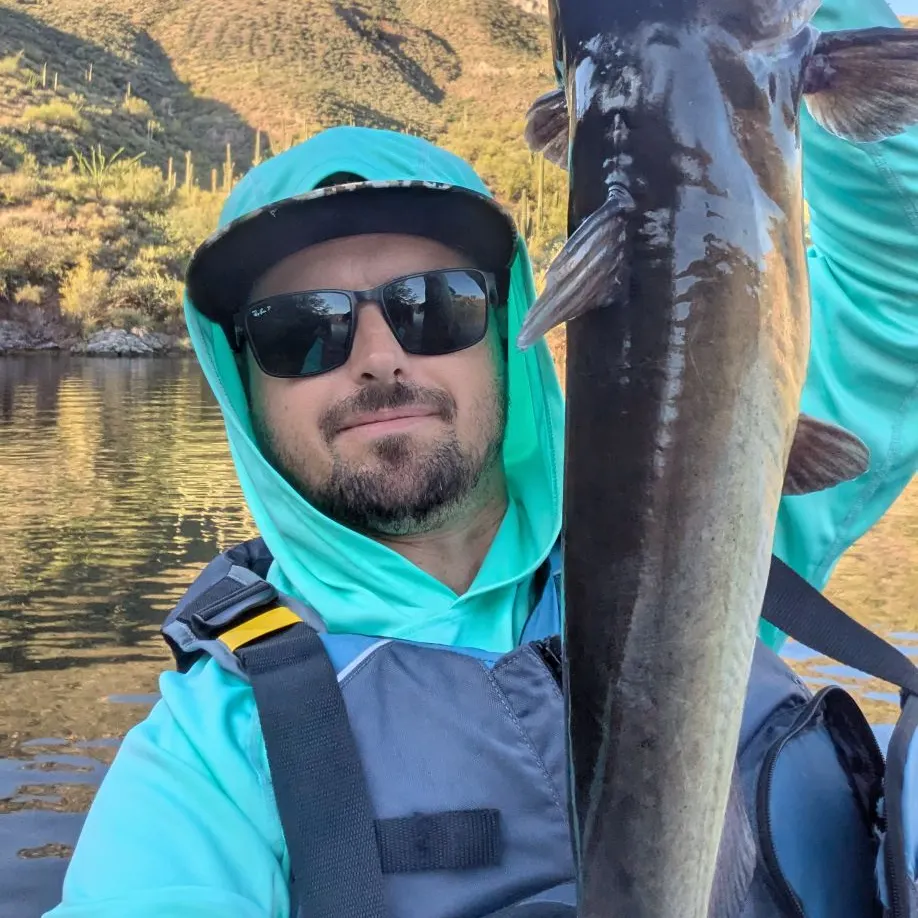 Channel catfish caught on Fishbrain