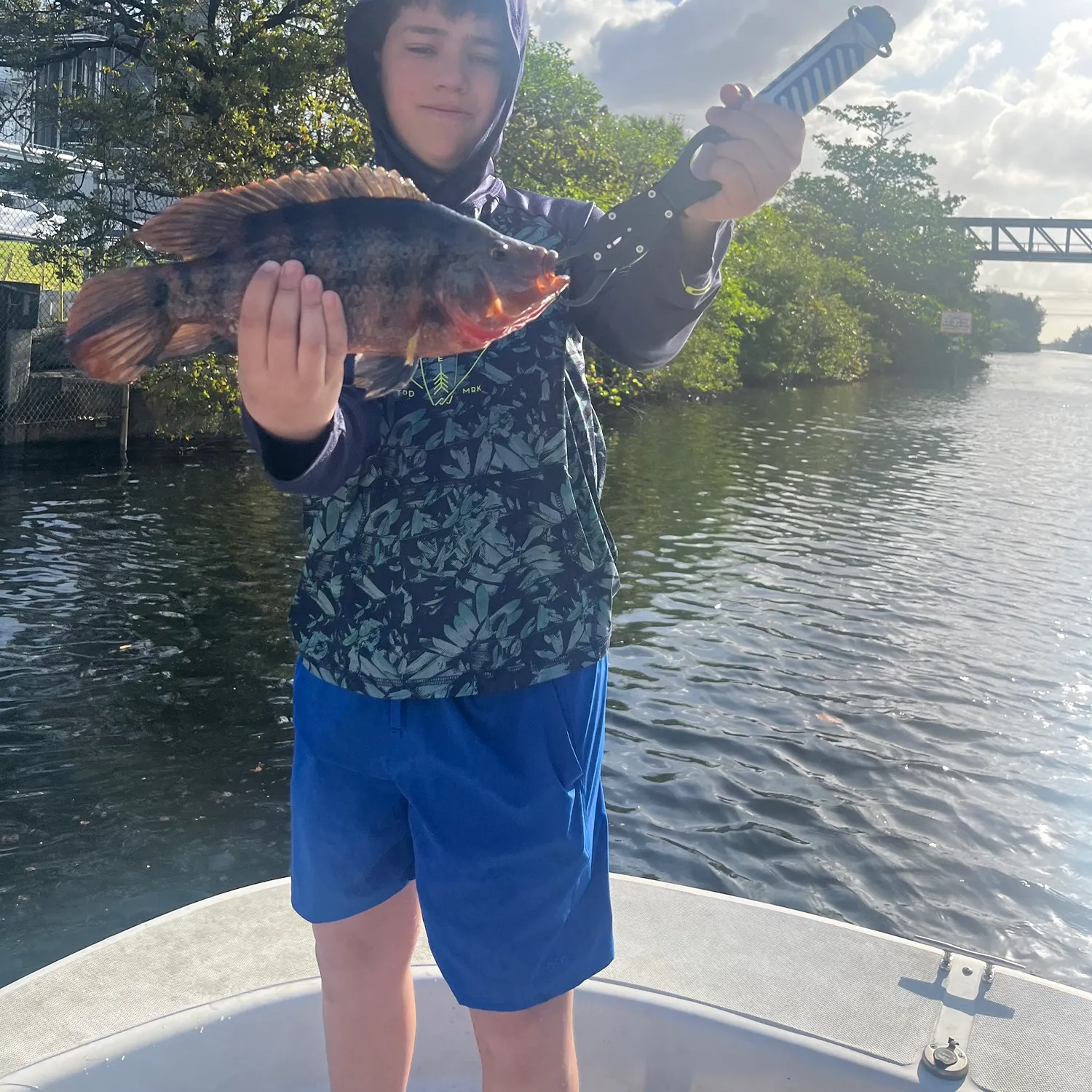 The most recent Mayan cichlid catches on Fishbrain