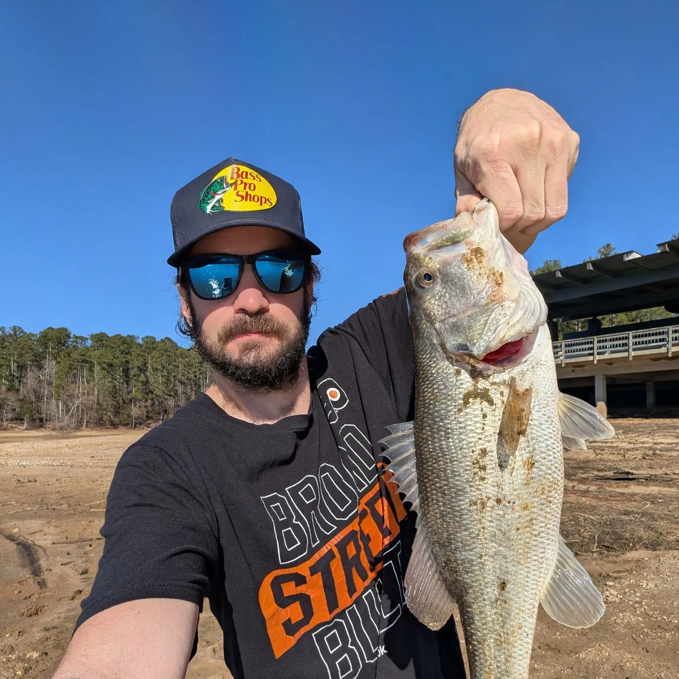 The most recent Largemouth bass catches on Fishbrain