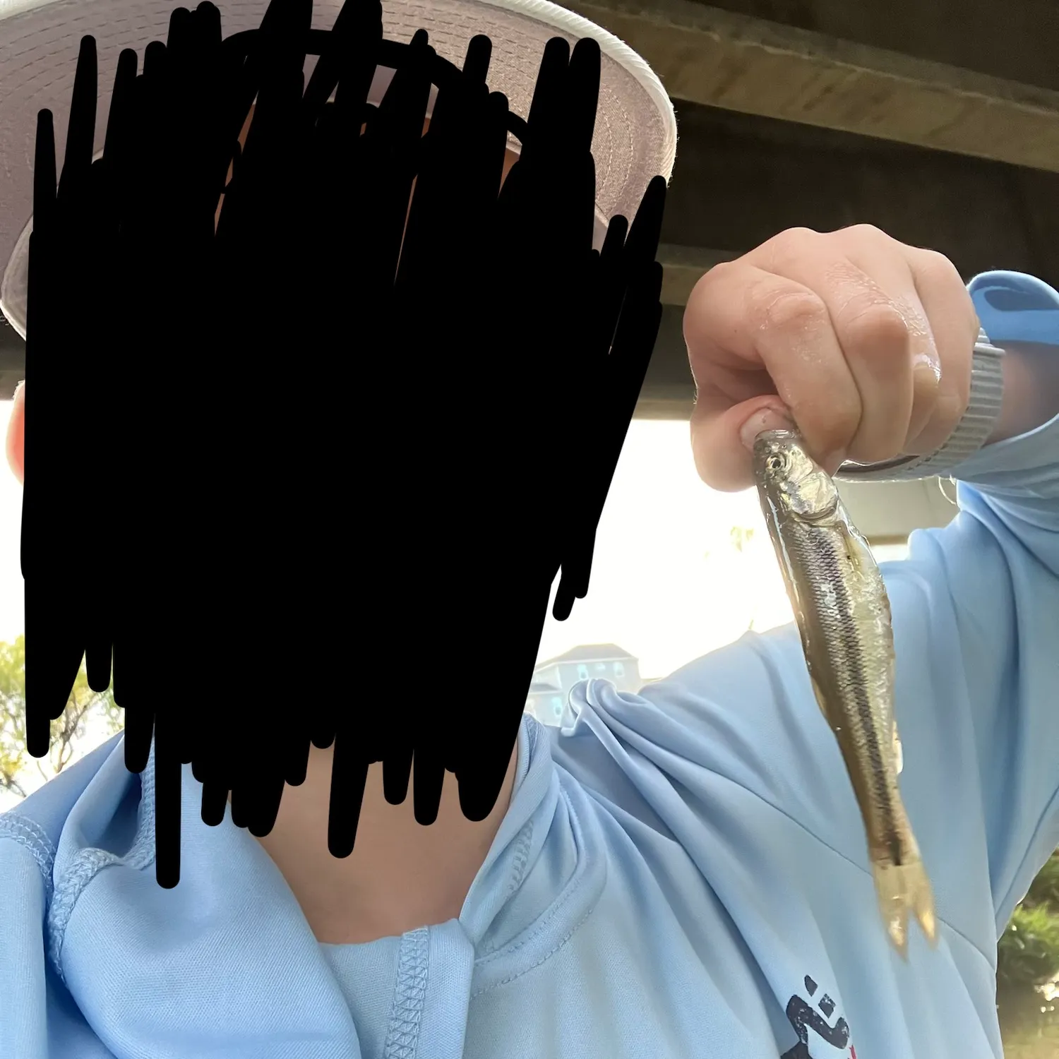 Creek chub caught on Fishbrain