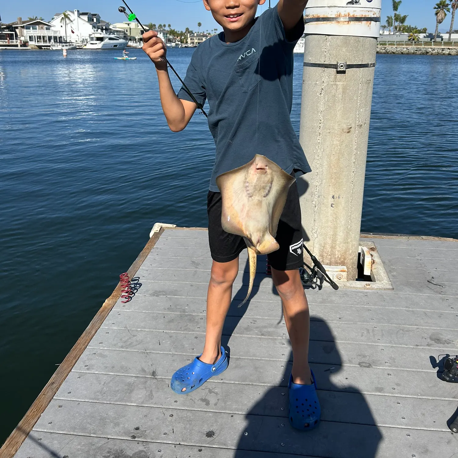The most recent Pacific shovelnose guitarfish catches on Fishbrain