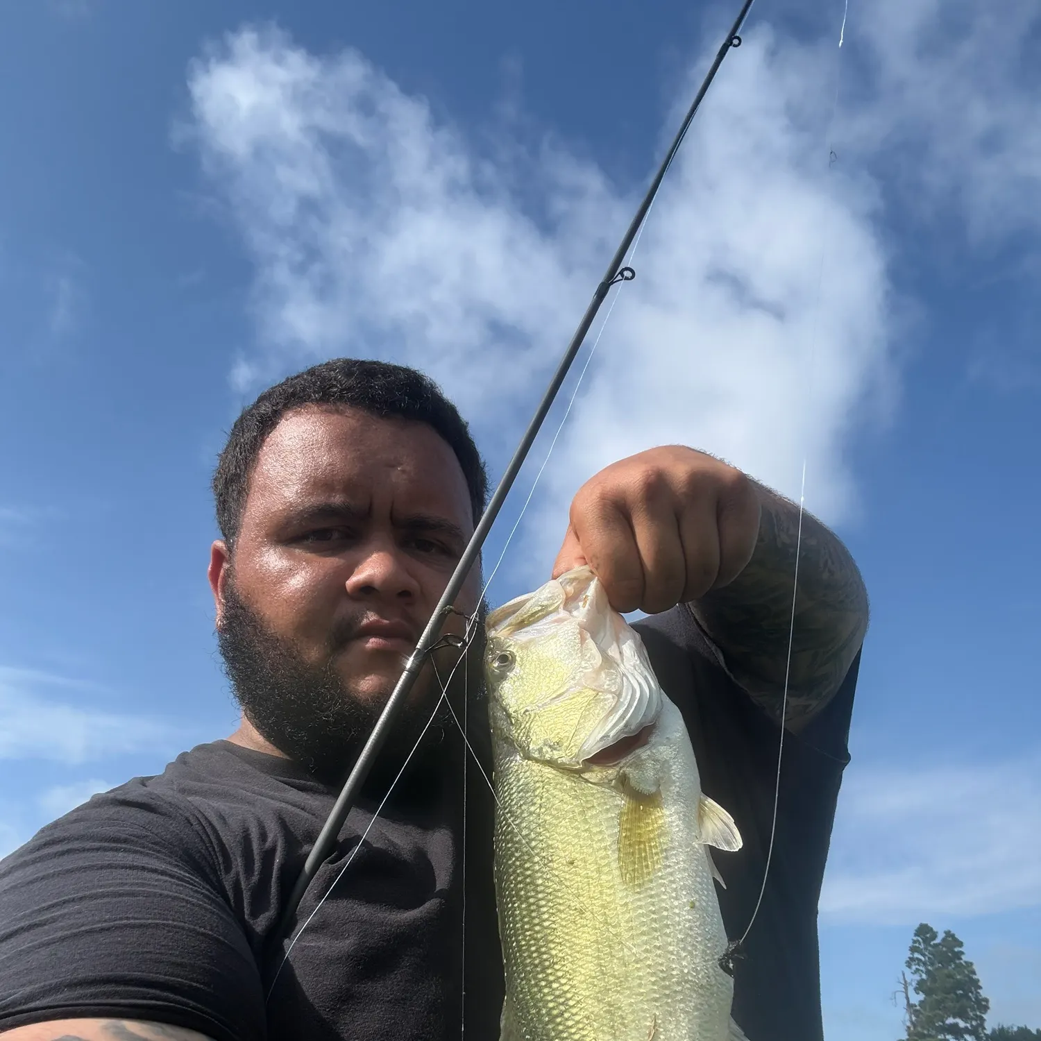 Largemouth bass caught on Fishbrain