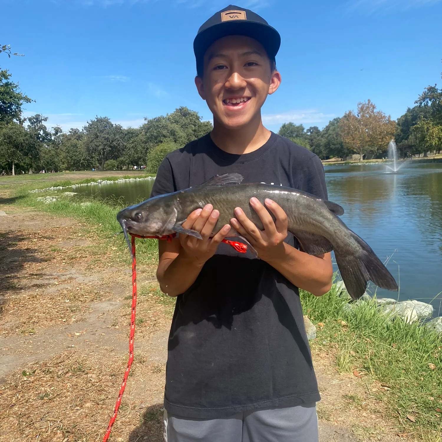 Channel catfish caught on Fishbrain
