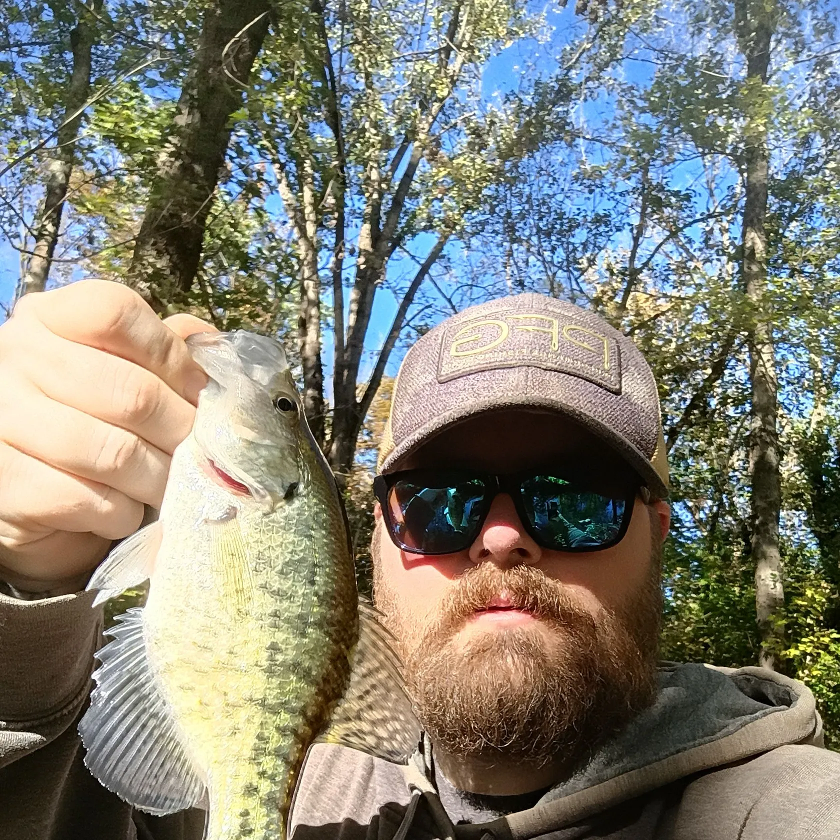 White crappie caught on Fishbrain