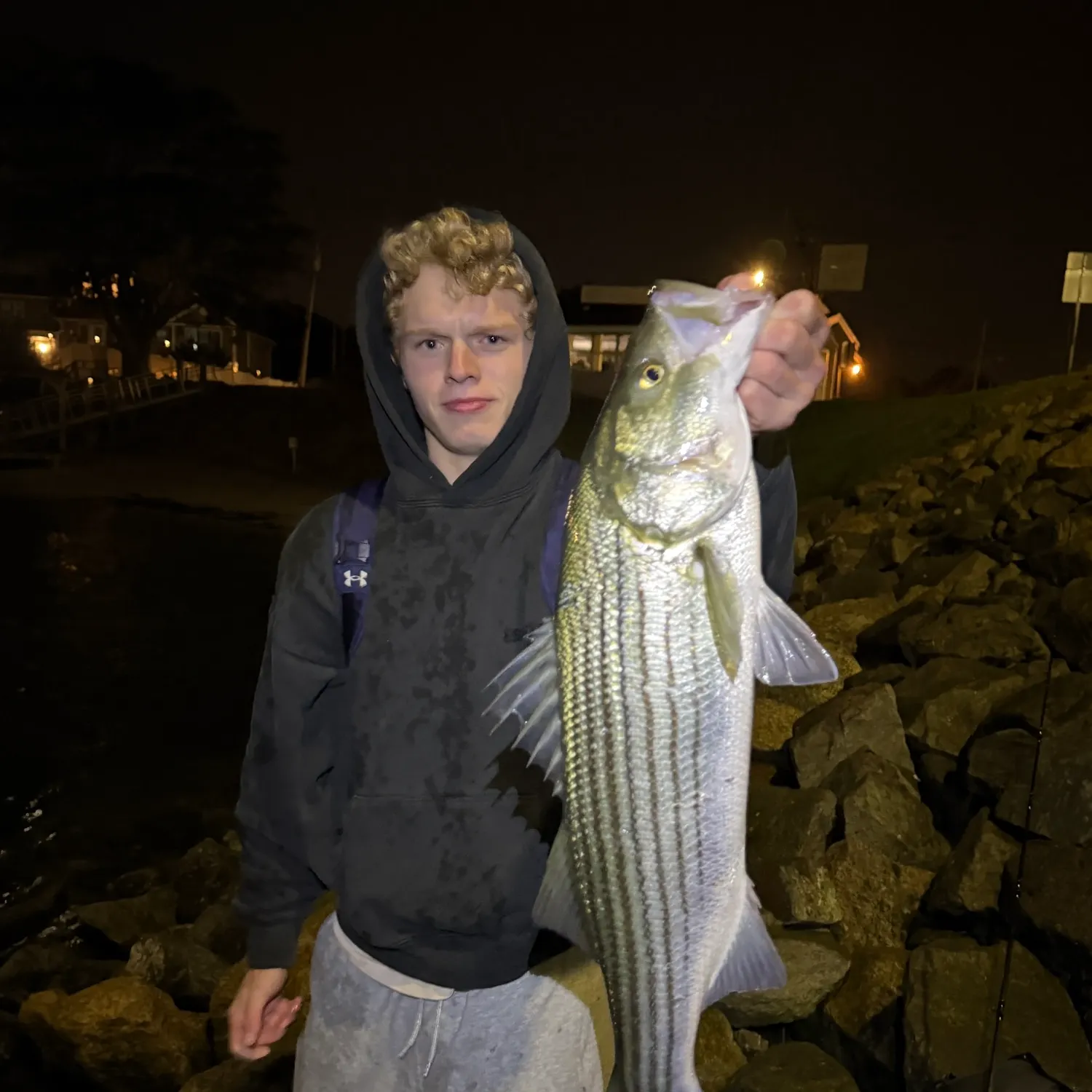 Striped bass caught on Fishbrain