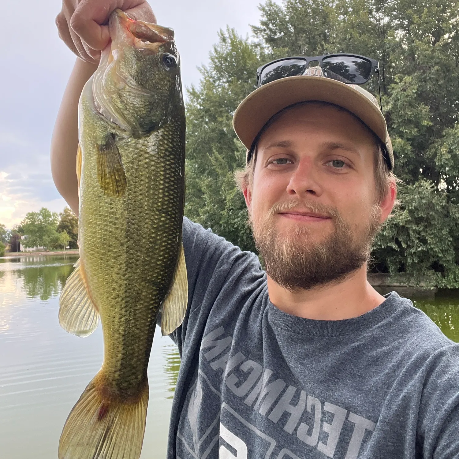Largemouth bass caught on Fishbrain