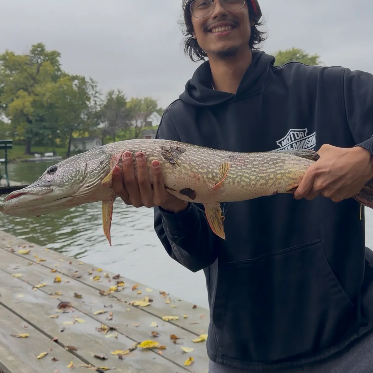 Northern pike caught on Fishbrain