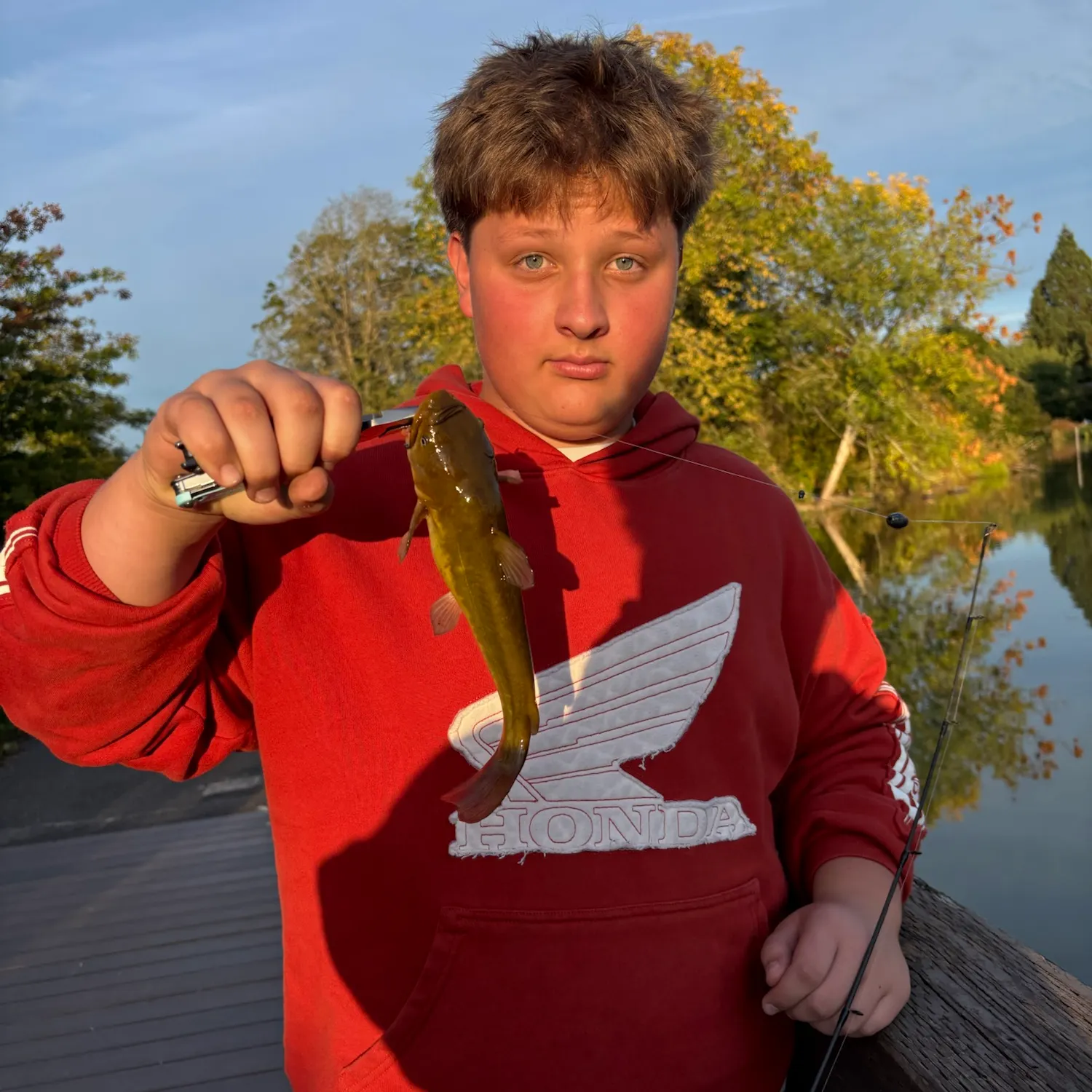 Yellow bullhead caught on Fishbrain