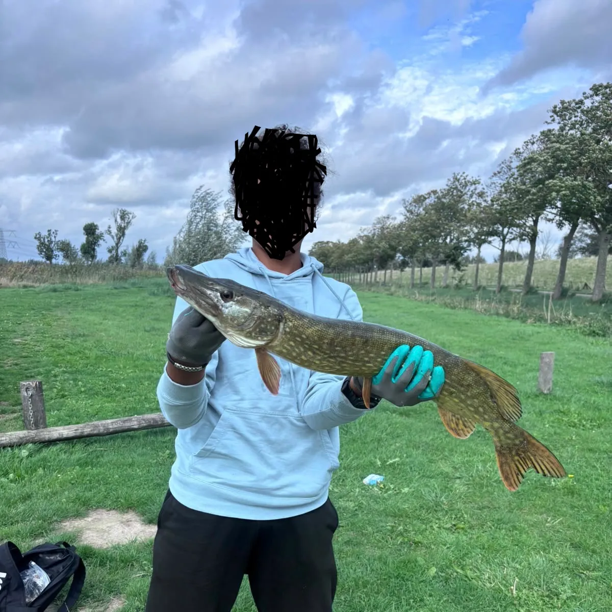 Northern pike caught on Fishbrain