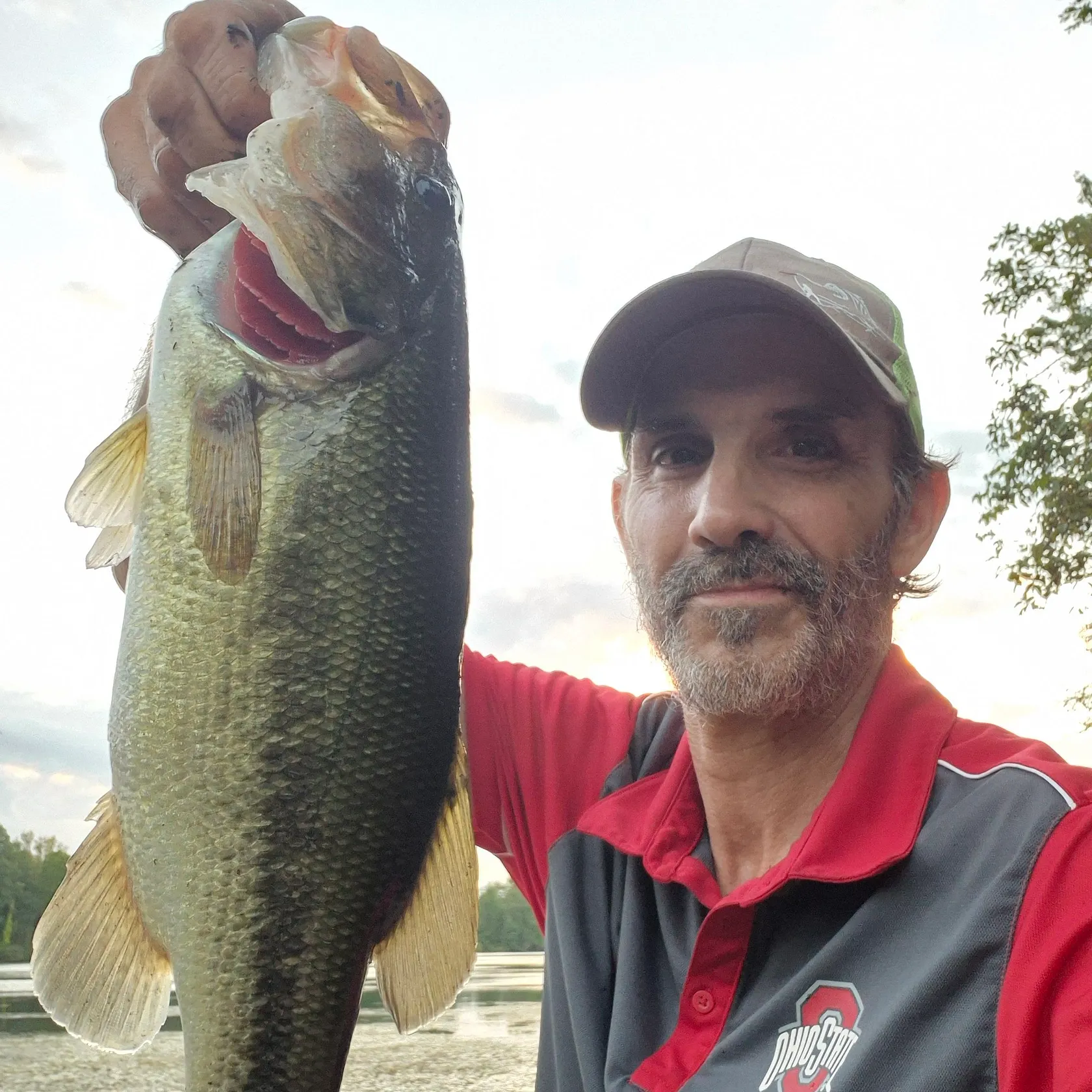 Largemouth bass caught on Fishbrain