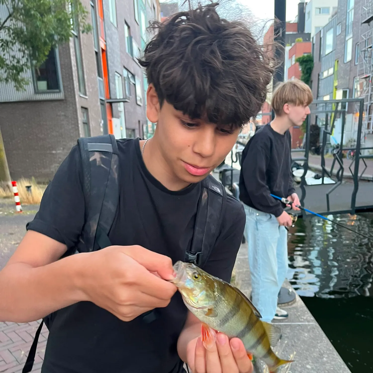 European perch caught on Fishbrain