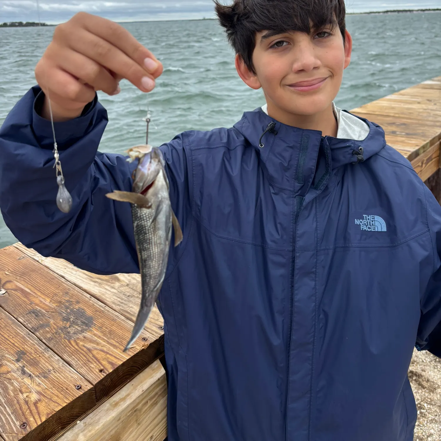 Tautog caught on Fishbrain