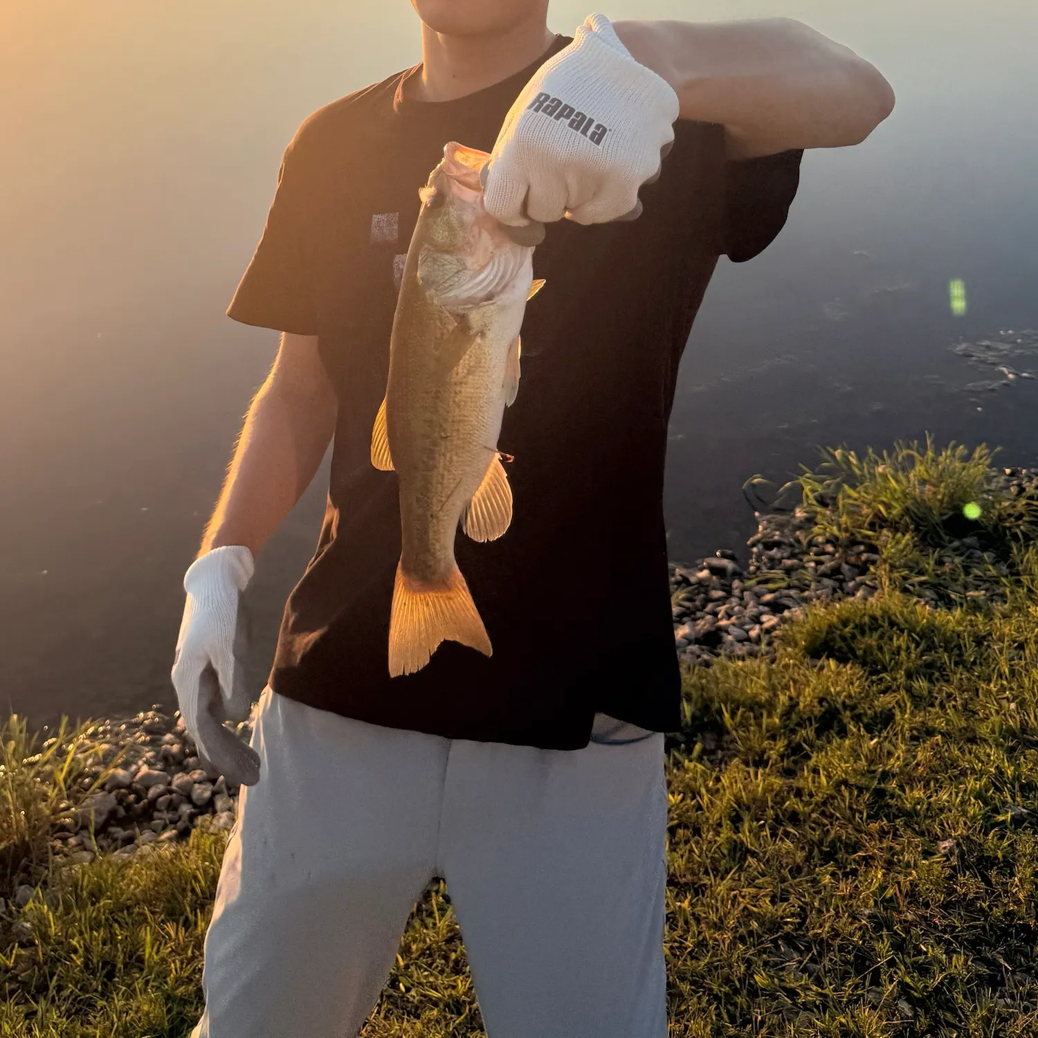 Largemouth bass caught on Fishbrain
