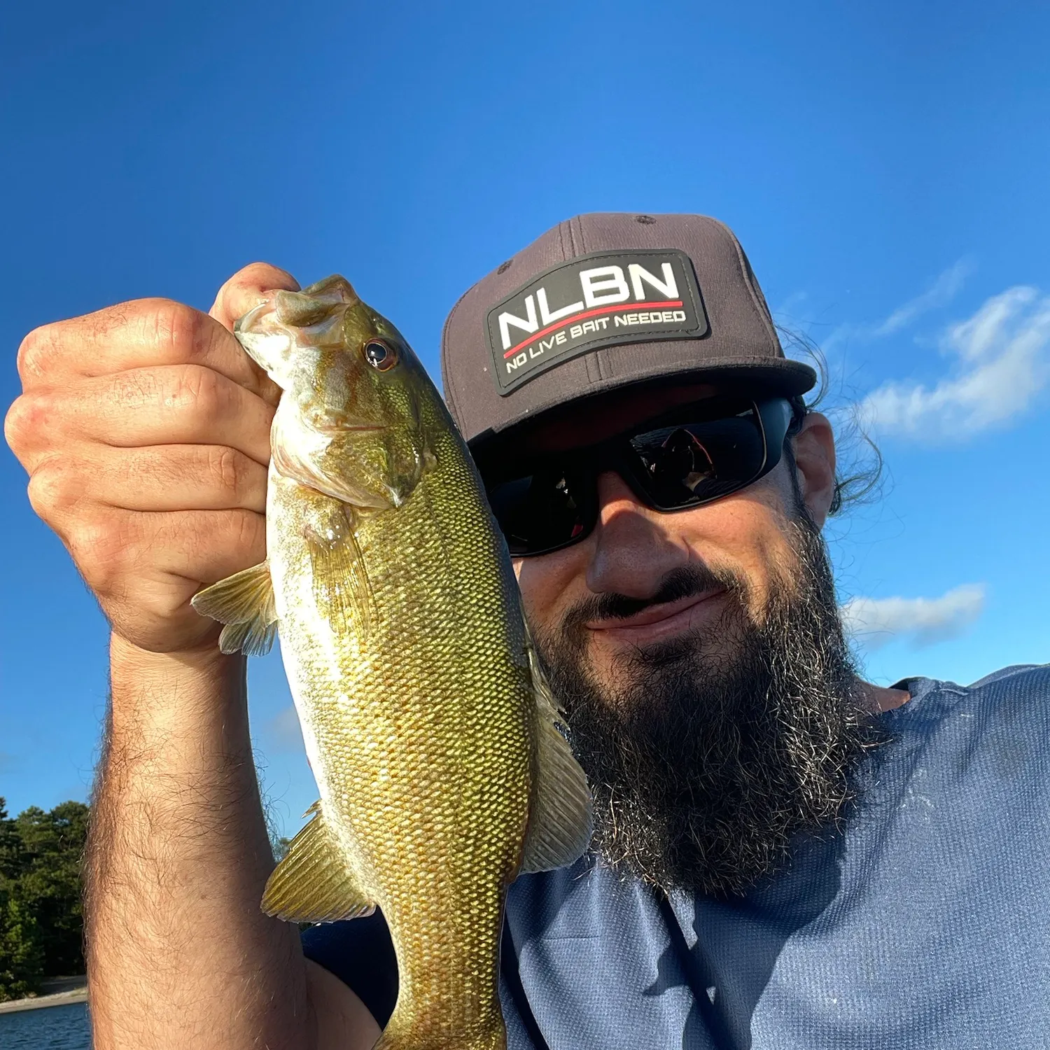 Smallmouth bass caught on Fishbrain