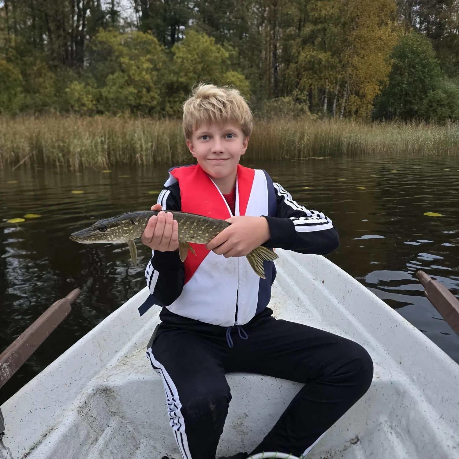 Northern pike caught on Fishbrain