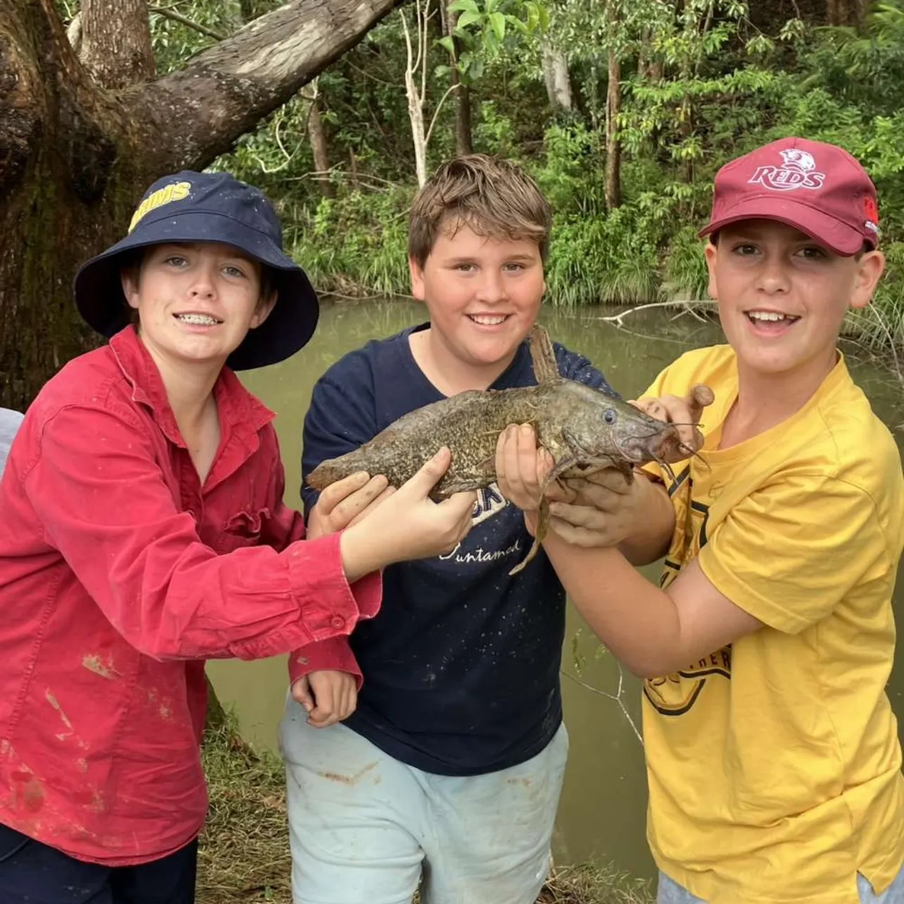 The most recent Dewfish catches on Fishbrain