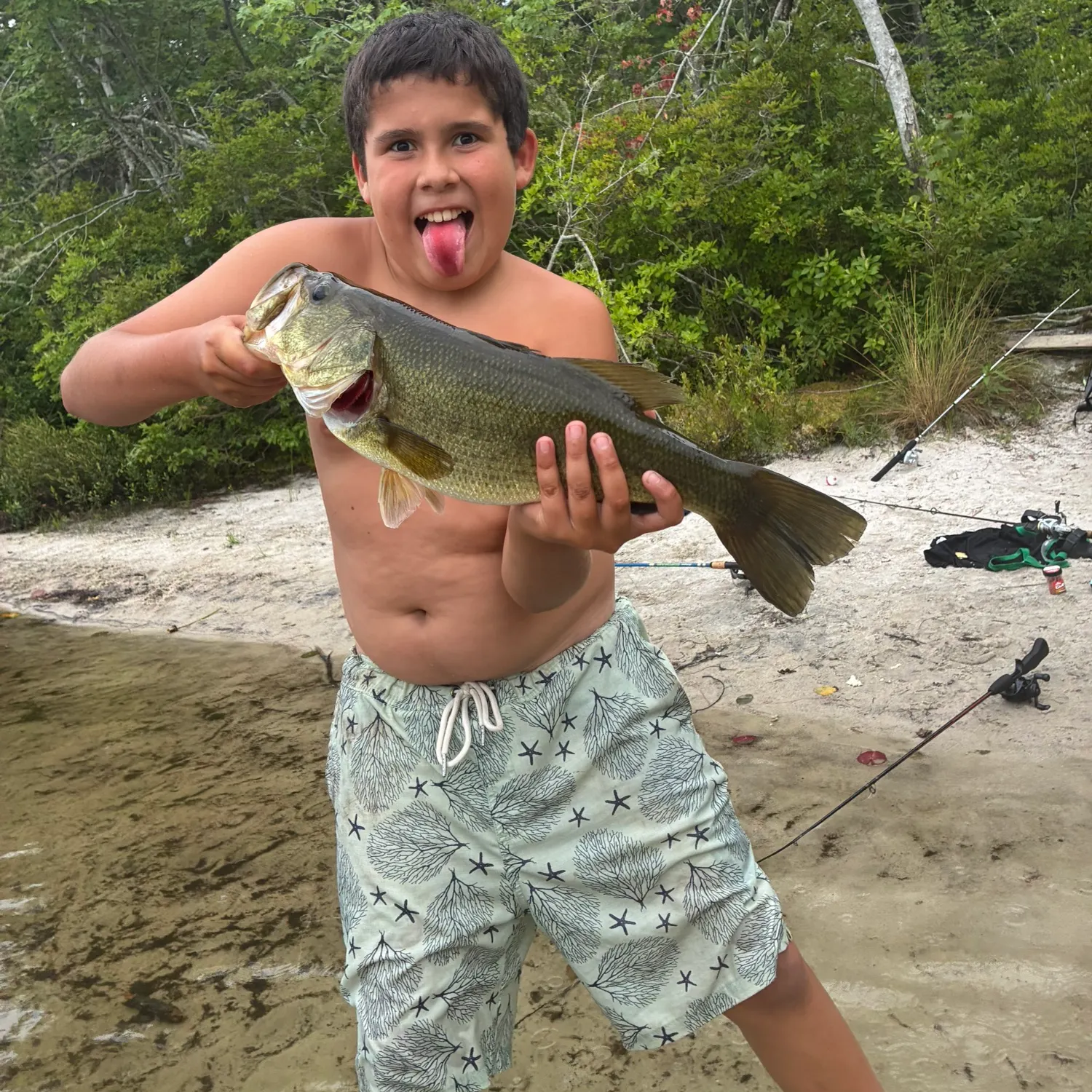 Largemouth bass caught on Fishbrain
