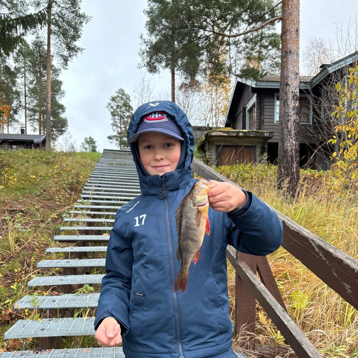 European perch caught on Fishbrain