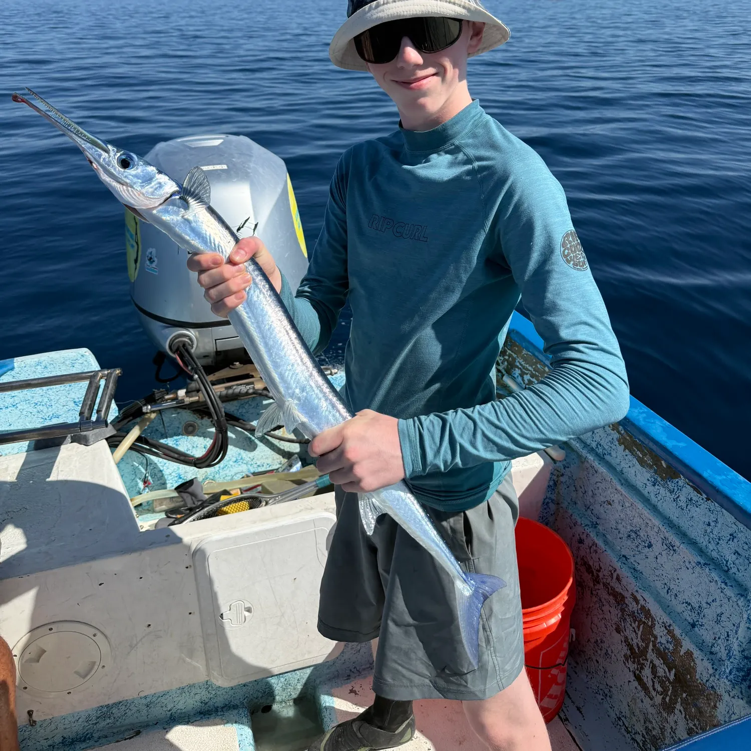The most recent Flat needlefish catches on Fishbrain