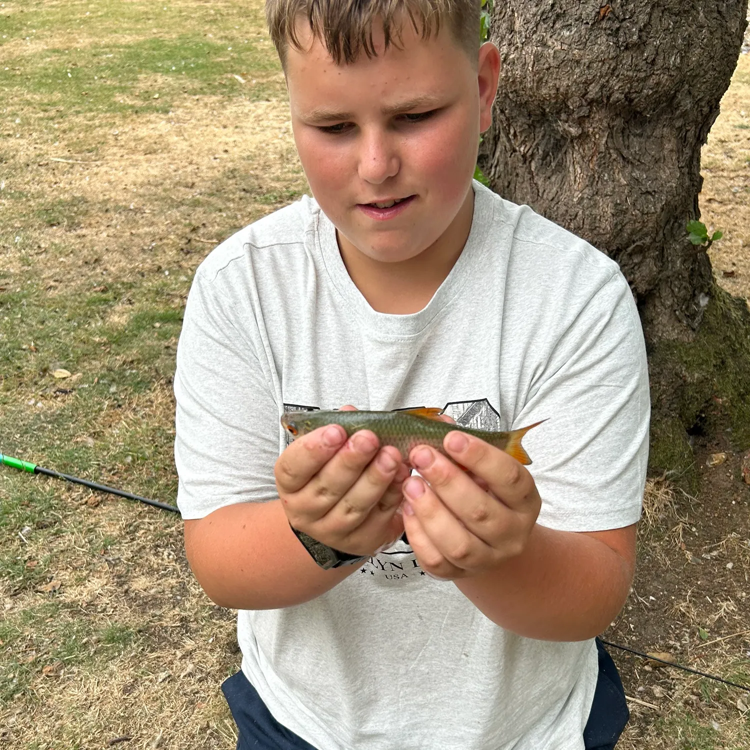 Common rudd caught on Fishbrain