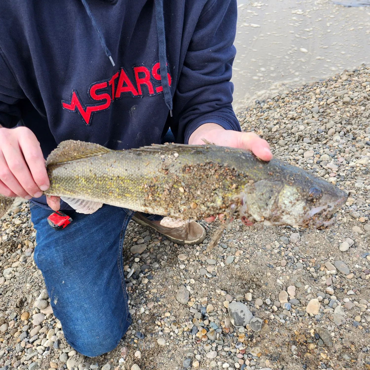 Walleye caught on Fishbrain