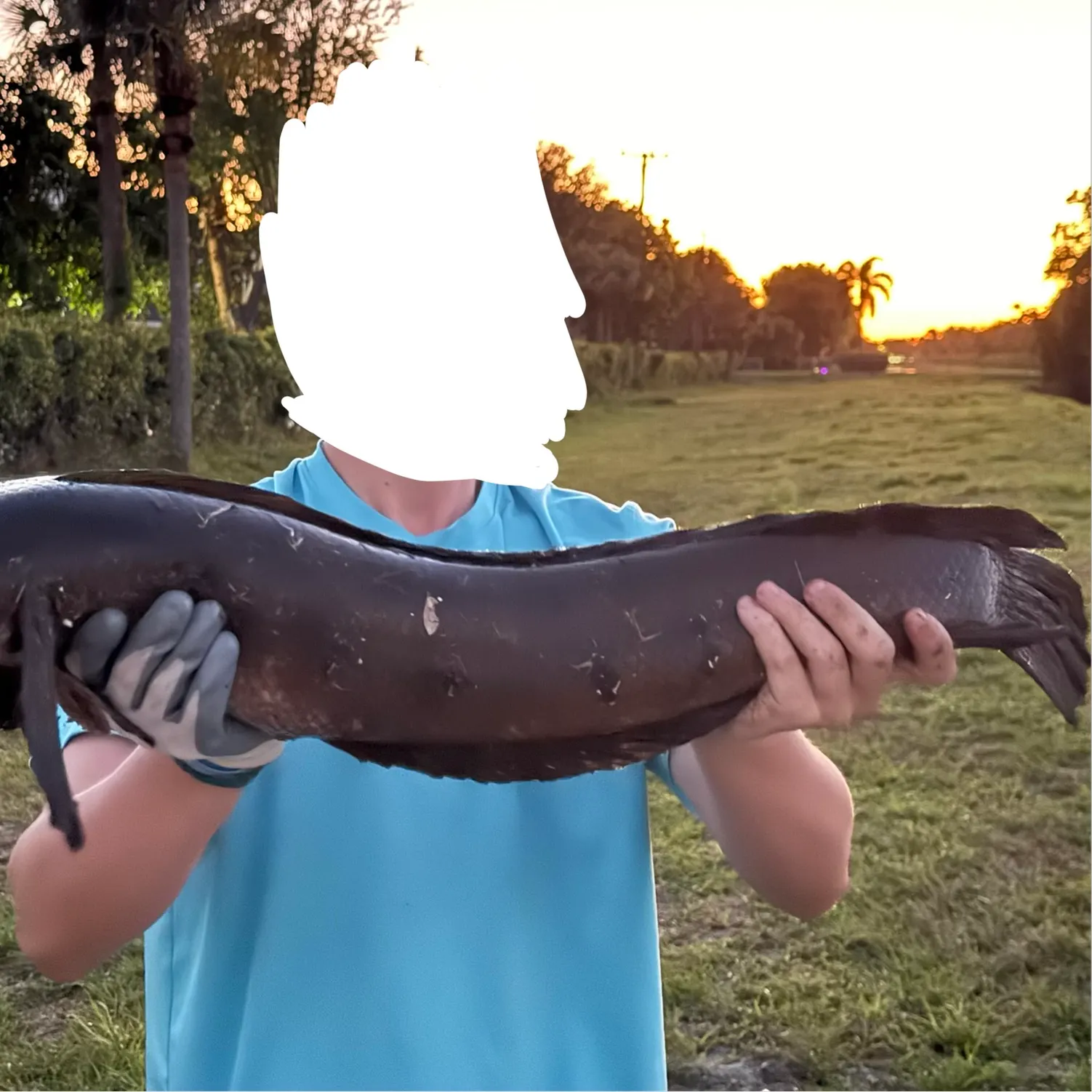 The most recent Bullseye snakehead catches on Fishbrain