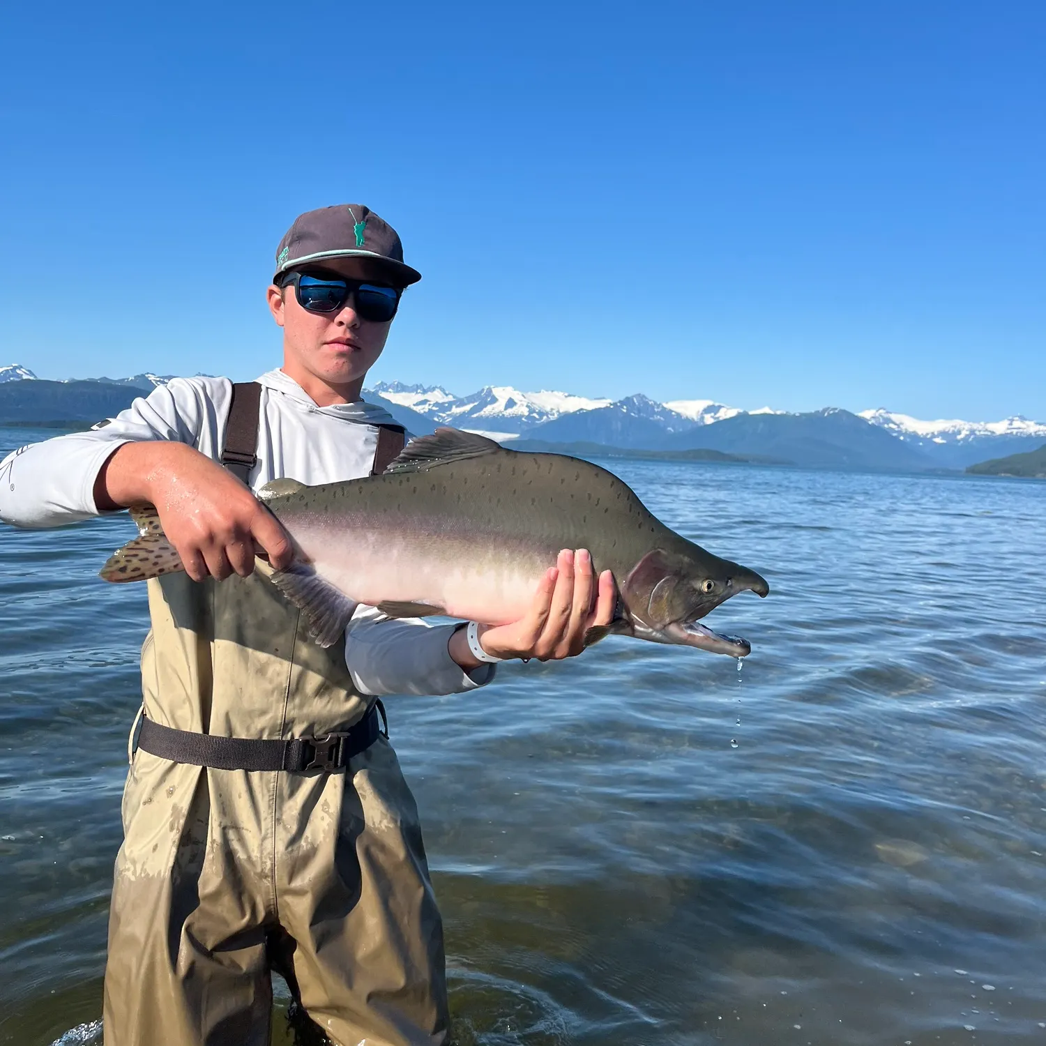 The most recent Pink salmon catches on Fishbrain