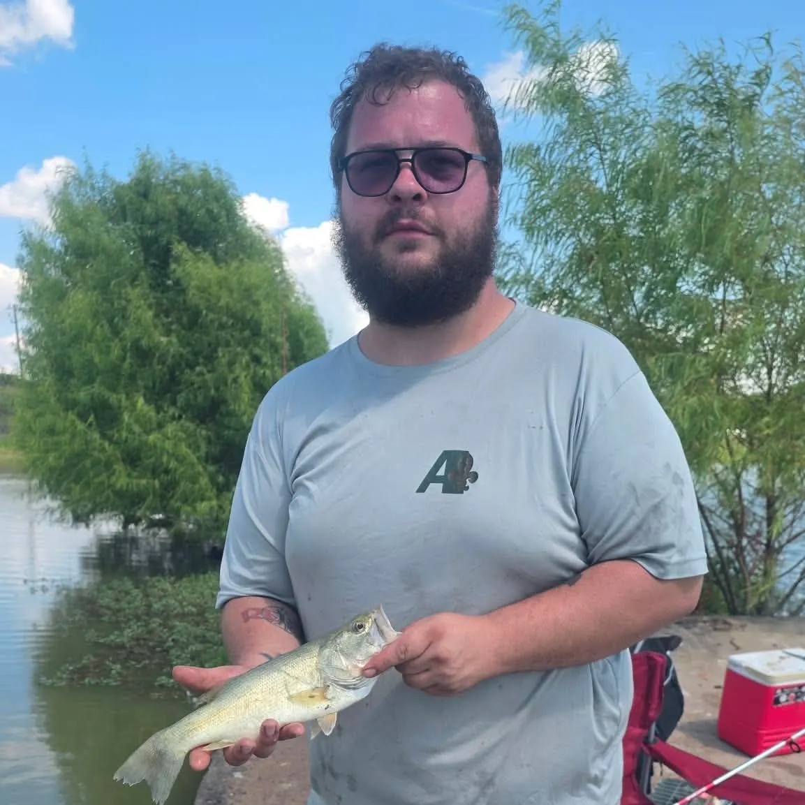 Largemouth bass caught on Fishbrain